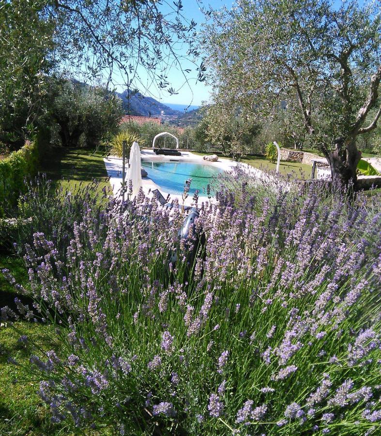 Bed and Breakfast La Cicala Stonata Dolceacqua Exteriér fotografie