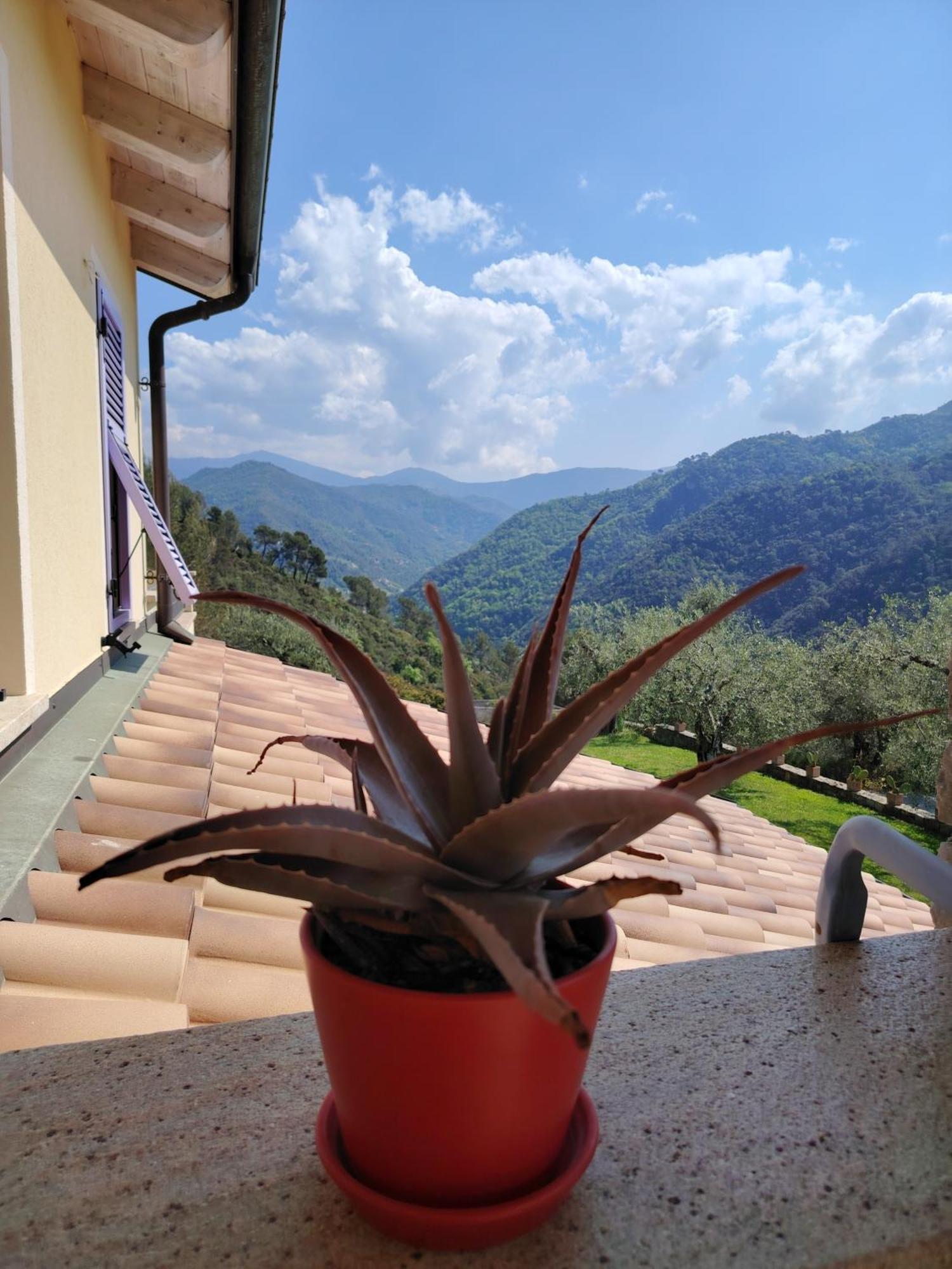 Bed and Breakfast La Cicala Stonata Dolceacqua Exteriér fotografie